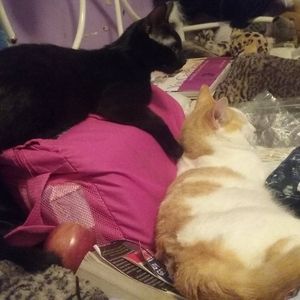 Meet your Posher, Debra